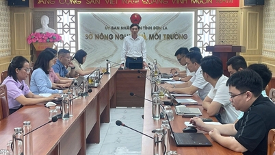 Son La បើកយុទ្ធនាការ 90 ថ្ងៃ ដើម្បីពង្រឹង និងសម្អាតមូលដ្ឋានទិន្នន័យដីធ្លី