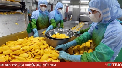 Ngày 1/10 sẽ diễn ra Diễn đàn "Chủ tịch Hội Nông dân Việt Nam và Bộ trưởng Bộ Công Thương lắng nghe nông dân nói"