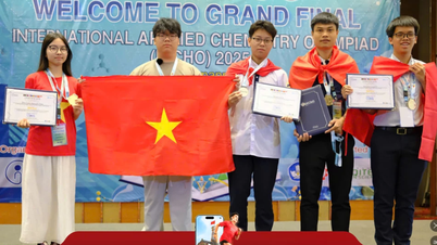 Estudiantes vietnamitas logran altos resultados en la Olimpiada Internacional de Química Aplicada 2025