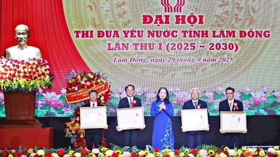 សហគ្រាស Lam Dong គោរពជាគំរូត្រាប់តាមស្នេហាជាតិធម្មតា។