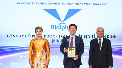 Bidiphar ក្នុងក្រុមហ៊ុនអាជីវកម្មដែលមានប្រសិទ្ធភាពបំផុតទាំង 50 នៅវៀតណាម