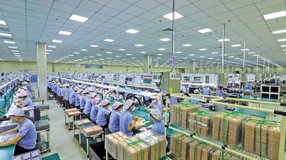 "ប្រៀបធៀប" សមត្ថភាពទាក់ទាញ FDI នៃ "ក្បាលរថភ្លើង"