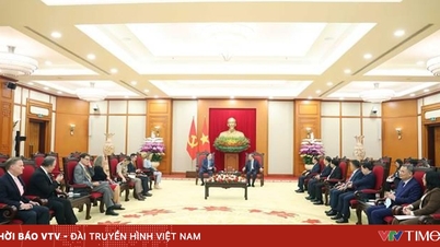Vietnam – USA: Ein Modell der internationalen Beziehungen
