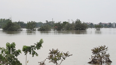 লুক নাম নদীর উপর ১ নম্বর অ্যালার্ম