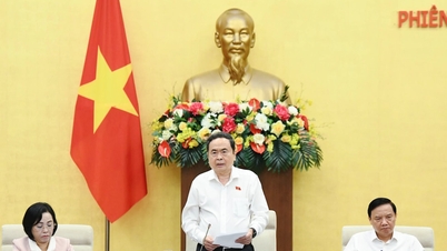 第49回国会常任委員会閉会