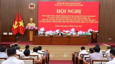 Quảng Ngãi sắp xếp tổ chức bộ máy tạo không gian, nền tảng phát triển