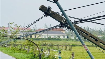 The Ministry of Industry and Trade issued an urgent dispatch on overcoming damage caused by storm No. 10.