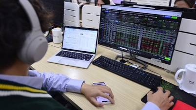 Simplify investment decisions with expert insight and data