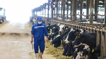 Skupina TH: Průkopník v ekologické zemědělské produkci ve Vietnamu
