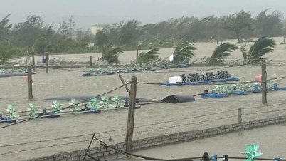 Storm No. 10 Bualoi gradually weakens, the North to Ha Tinh faces severe rain and floods