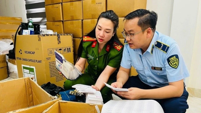 Preventing counterfeit drugs and fake functional foods: Ministry of Health recommends inter-sectoral coordination mechanism