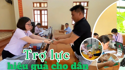 ការគាំទ្រដ៏មានប្រសិទ្ធភាពសម្រាប់មនុស្ស