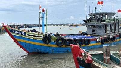From 5am on September 30, fishing vessels that ensure sea safety are allowed to set sail.