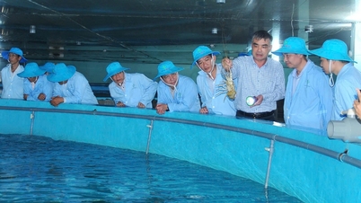 Dak Lak has an individual honored as "Farmer Scientist" in 2025