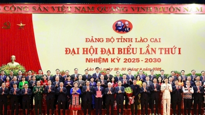 Mr. Trinh Viet Hung holds the position of Secretary of Lao Cai Provincial Party Committee for the 2025 - 2030 term.