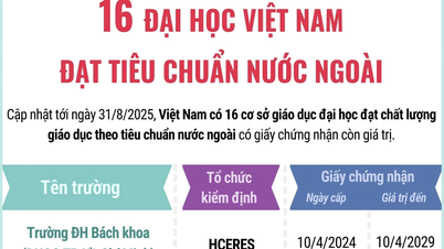 16 Vietnamese universities meet international standards