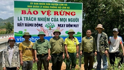 Join hands to keep Dam Rong green
