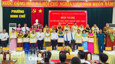 Ninh Chu Ward commends 19 typical advanced collectives and individuals
