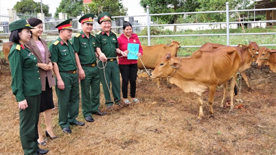 ចំណុចភ្លឺក្នុងការអនុវត្តកម្មវិធីគោលដៅជាតិនៅតំបន់ជនជាតិភាគតិច និងតំបន់ភ្នំ