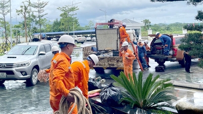 Tuyen Quang Power Company participates in supporting the recovery of storm No. 10 in Nghe An