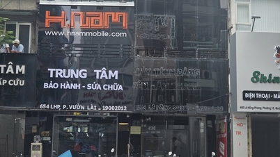 Nearly 20-year-old phone retail chain in Ho Chi Minh City suddenly announced its closure