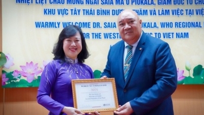Health and economic achievements following Vietnam's tobacco tax reform.