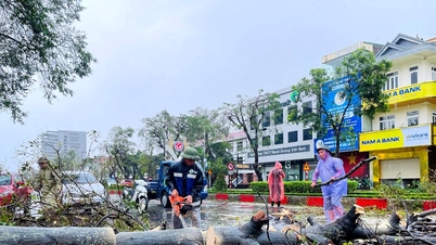 Nghe An segera membersihkan pokok tumbang selepas ribut No. 10, memastikan keselamatan orang ramai
