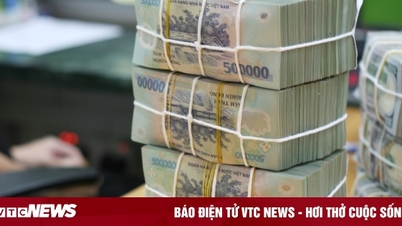 Žena v Ho Či Minově Městě dluží na daních téměř 159 miliard dongů