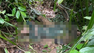 Mayat lelaki hilang selama 4 hari ditemui dalam hutan dalam