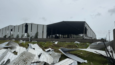 Phu Trach: Urgently overcome the consequences of storm No. 10