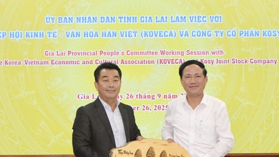 Committing to '5 together', Gia Lai considers the success of enterprises as the success of the province