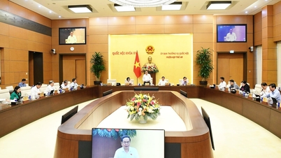 Draft Law on Civil Servants (amended): Modernizing public service human resource management