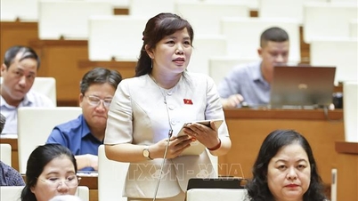 Clarifying the role of vocational education in student orientation