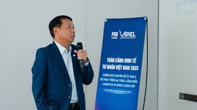 ViPEL Committee 2 Meeting: The dream of turning Vietnam into an international maritime center