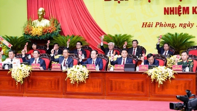 Le 1er Congrès du Comité du Parti de la ville de Hai Phong, mandat 2025-2030, a été un grand succès.