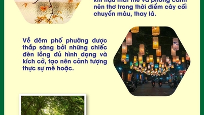 ហាណូយ៖ ស្ថិត​ក្នុង​កំពូល​កន្លែង​ទស្សនា​ស្លឹក​ឈើ​ជ្រុះ​ស្អាត​បំផុត​ទាំង ៥ នៅ​អាស៊ី