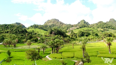 Golden season of prosperity in the highlands