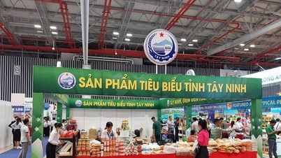 The Fair of typical rural industrial products of the Southeast region is about to take place in Dong Nai.