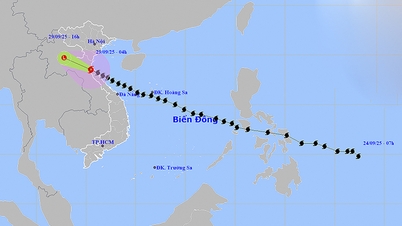 Weather on September 29: Storm No. 10 makes landfall in Nghe An - Ha Tinh, wind gusts level 14