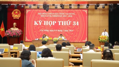 Continue to innovate and improve the quality of activities of People's Councils at all levels