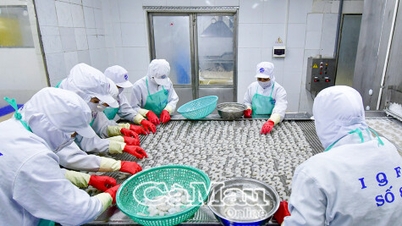 Priority support for products serving agricultural production