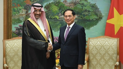 Deputy Prime Minister Bui Thanh Son receives Saudi Arabia's Minister of Industry and Mineral Resources