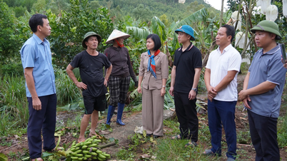 Checking the crop damage situation after storm No. 10