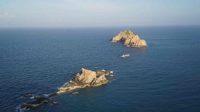 ビックダム - ニャチャン湾の緑の真珠