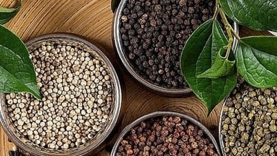 Giá hồ tiêu tăng mạnh