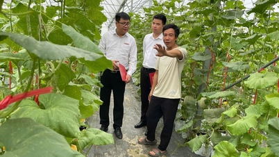 하이퐁의 녹색 신용 공급원 차단 해제