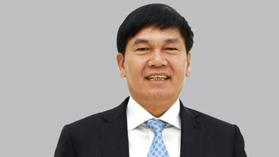 Stocks related to billionaire Tran Dinh Long explode after the holiday
