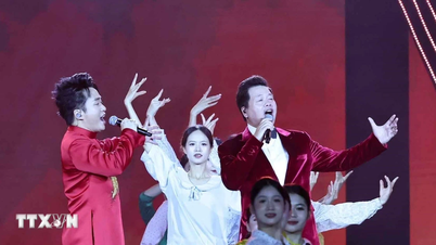 Vietnam Music Day September 3: A bridge connecting and accompanying the nation