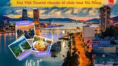 Đại Việt Tourist tổ chức tour Đà Nẵng 1 ngày được du khách yêu thích
