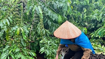 Grundlegende Lösungen für den Umgang mit chemischen Rückständen in landwirtschaftlichen Produkten erforderlich